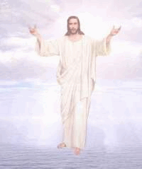 img3.gif